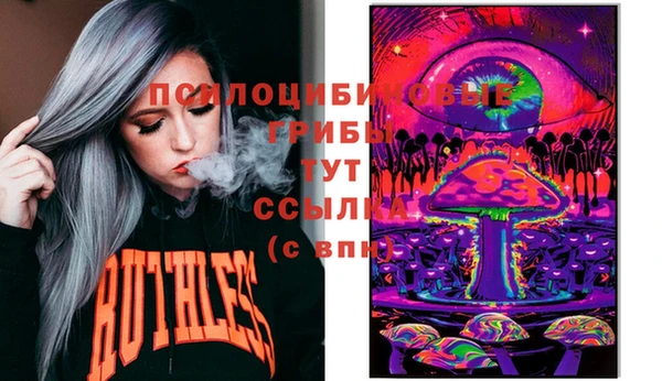 apvp Баксан