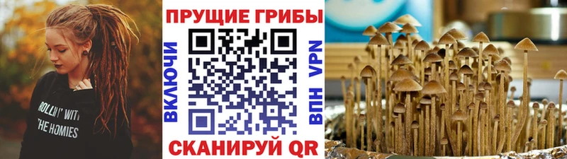 Галлюциногенные грибы Cubensis  Заозёрск 